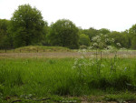 Cirkels van Jannink